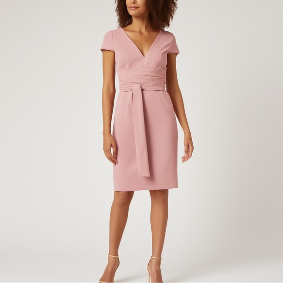 Dress the Population Dresses & Skirts - Dress the Population “Dana” Shirred Waist Dress in Light Mauve Size Medium NWT